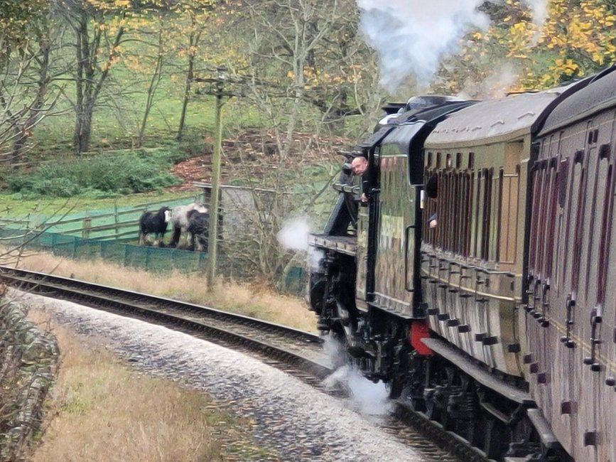 55002 King's Own Yorkshire Light Regiment, Sat 28/12/2013.. 