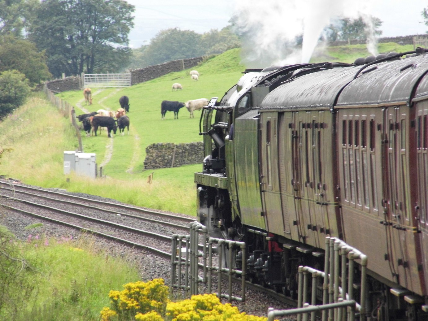 35018 British India Line, Tues 4/8/20120. 