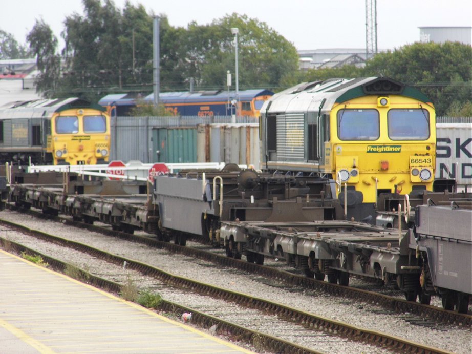 66543 and other class 66 locos close-up, Sun 15/9/2013. 