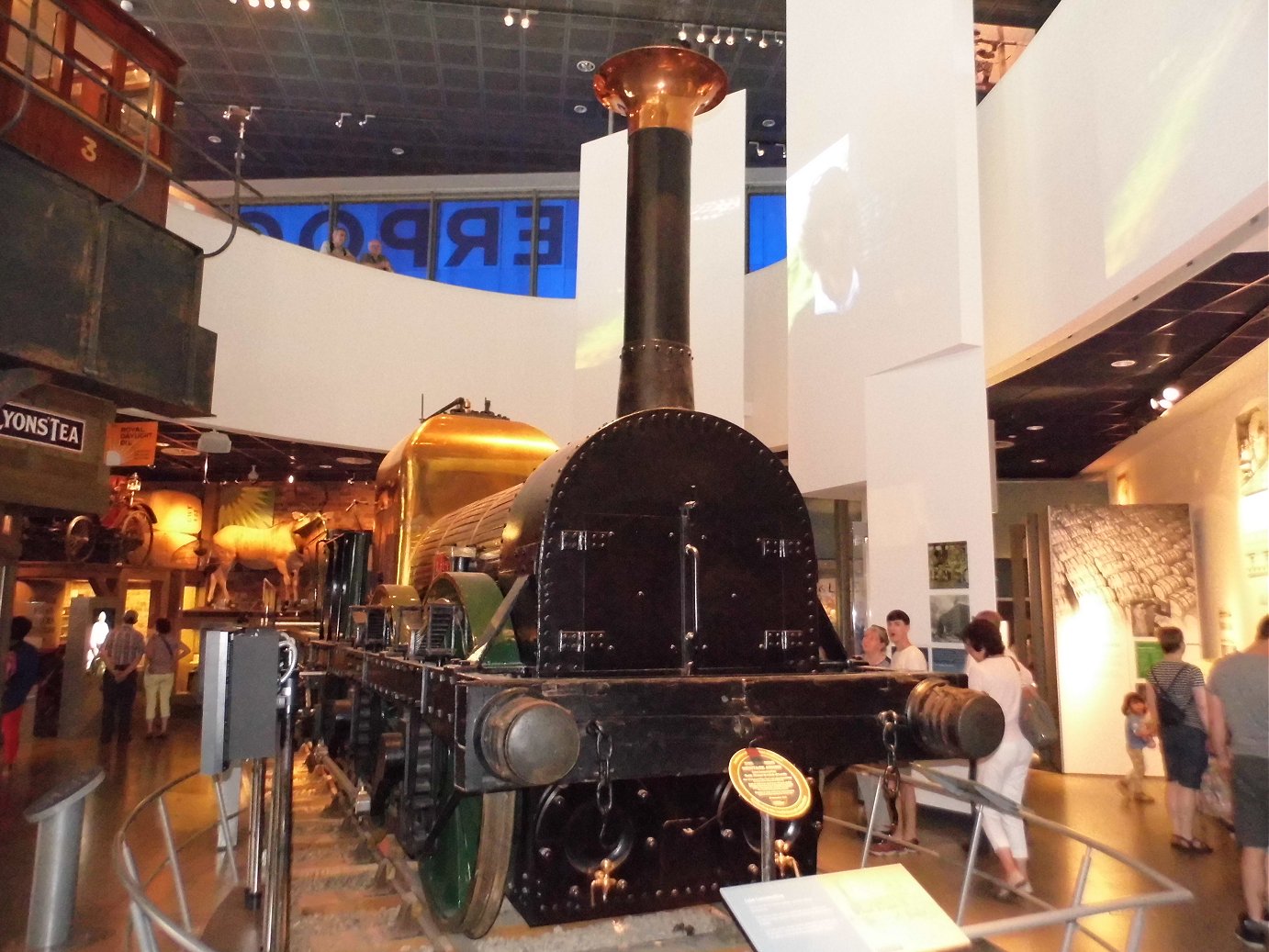 Lion at the Museum of Liverpool, Mon 28/05/2018.