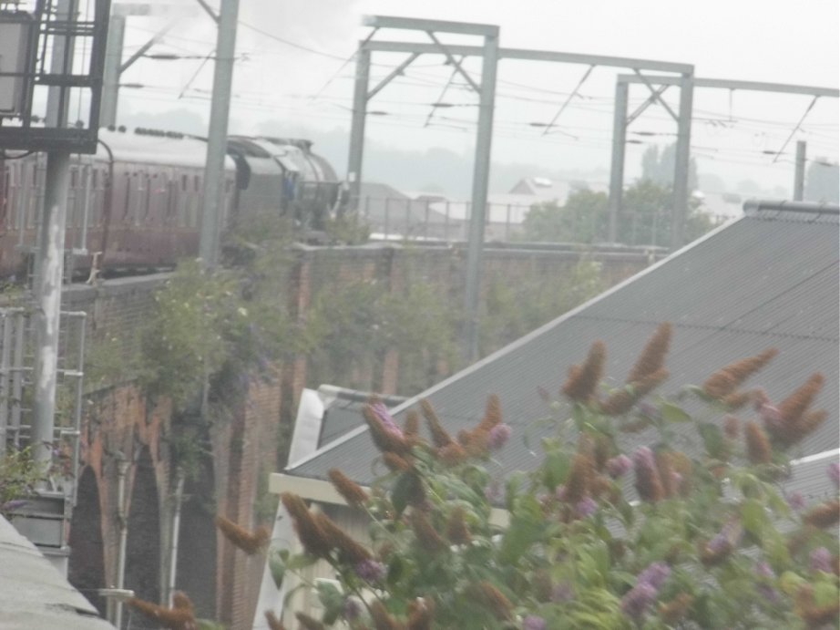 46115 Scots Guardsman on the Scarborough Spa Express, Wed 31/7/2013. 