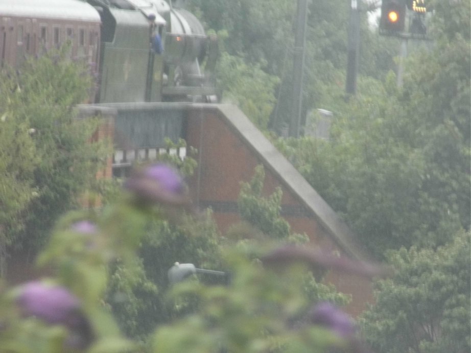 46115 Scots Guardsman on the Scarborough Spa Express, Wed 31/7/2013. 